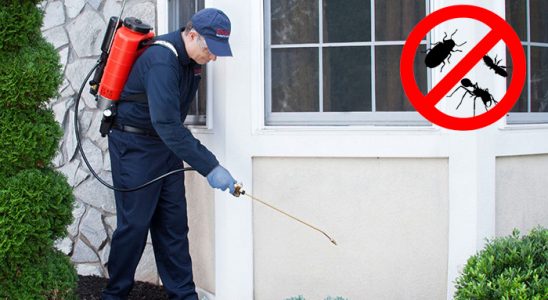 Hatundere Hamam Böceği İlaçlama böcek ilaçlama ve haşere kontrolü — ilaclama-tr.com